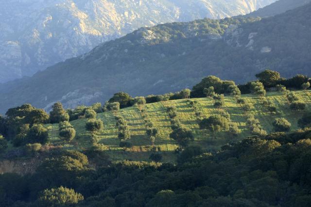 A Mandria di Murtoli